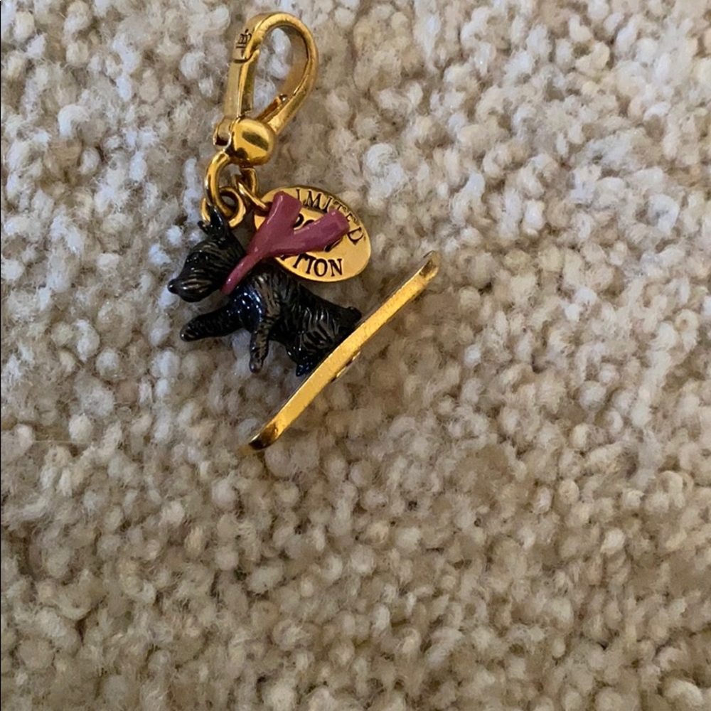 Dog on snowboard charm